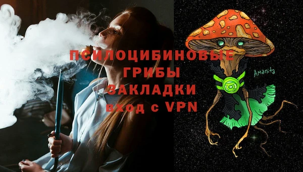 твердый Алзамай