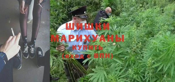 твердый Алзамай