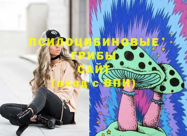 spice Алексеевка