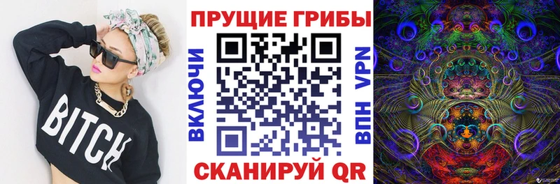 Псилоцибиновые грибы GOLDEN TEACHER  нарко площадка формула  Тогучин  продажа наркотиков  OMG ONION 